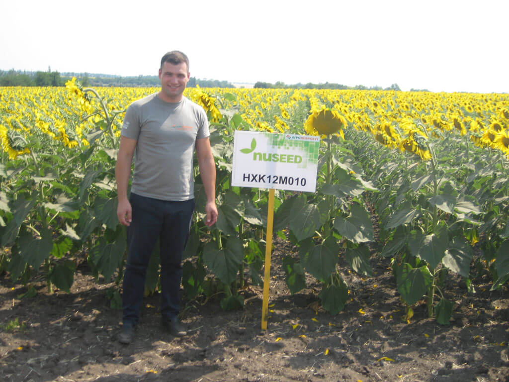 ДЕМО ДІЛЯНКИ Насіння соняшнику та сорго NUSEED