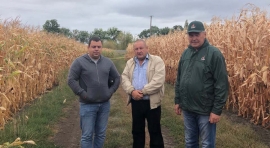 Відвідали посіви у ФГ 