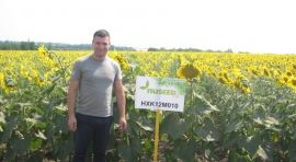 ДЕМО ДІЛЯНКИ Насіння соняшнику та сорго NUSEED